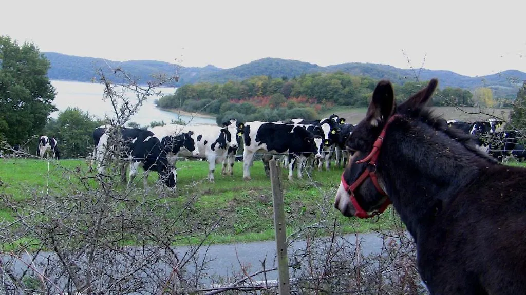 Agroturismo Atxarmin Elosu 0*,  Spain